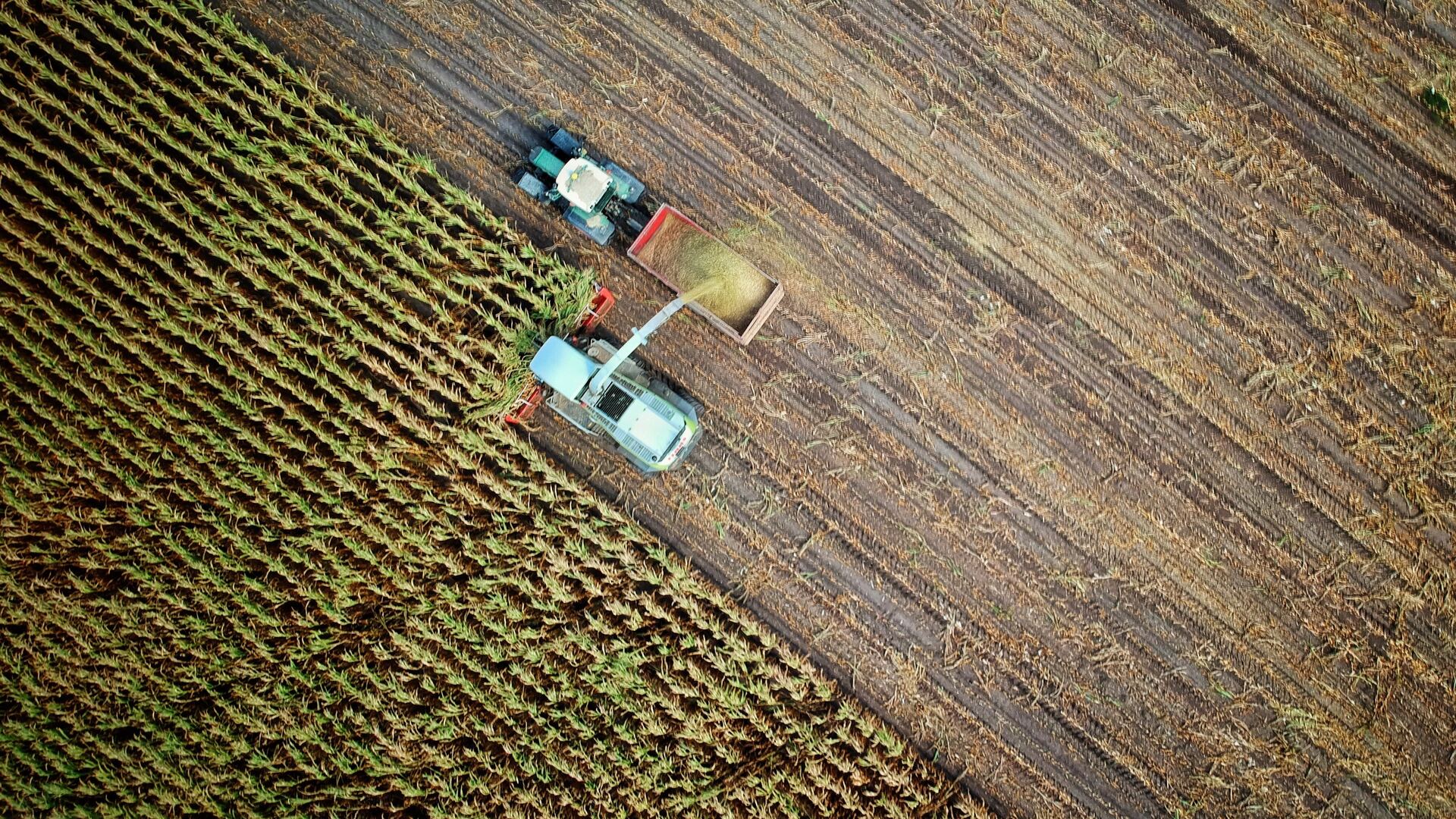  Agriculture is an indispensable field for human...
