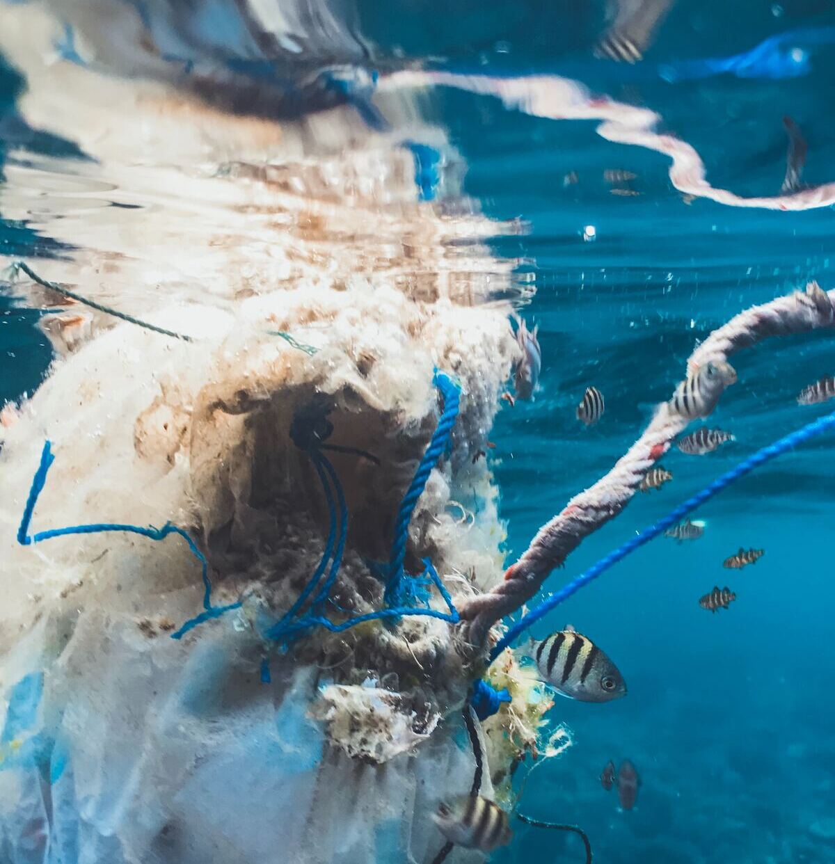  And what about the oceans ?   It's even worse,...